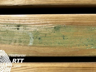 Algemene kenmerken hout
